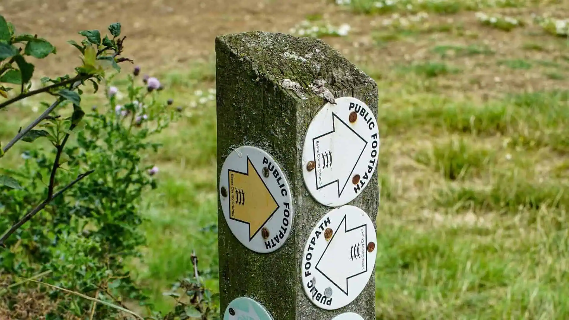 A wooden signpost with multiple badges on it, each of which point in different directions to different locations.